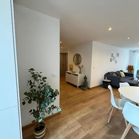 Grand appartement lumineux - centre et gare à pied Apartamento Perpinhã